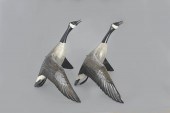 FLYING CANADA GOOSE PAIRMike B