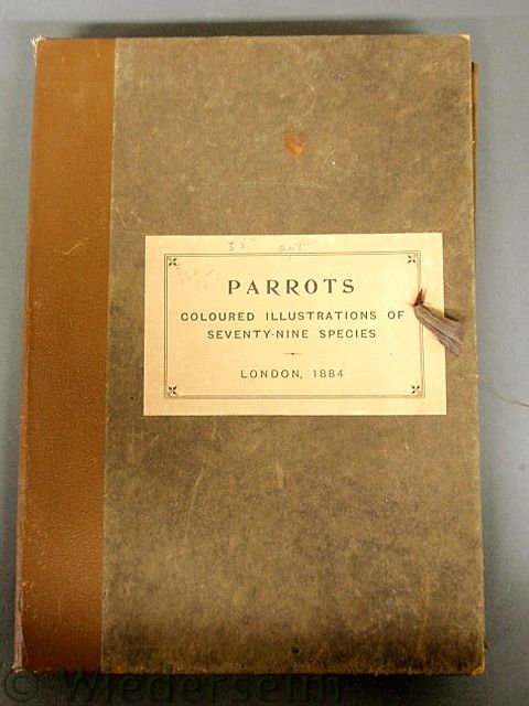 Folio- Parrots- Colored