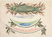 FORD RUTHLING, FISH, MELON & M