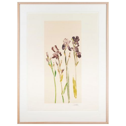 FORREST MOSES (B. 1934): IRISES;