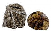 Fossil collection Paleozoic an
