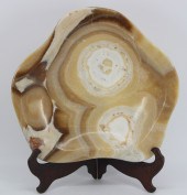 FOSSIL. LARGE ARAGONITE FOSSIL