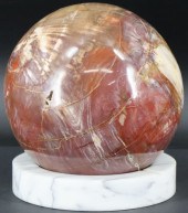 FOSSIL. POLISHED PETRIFIED WOO