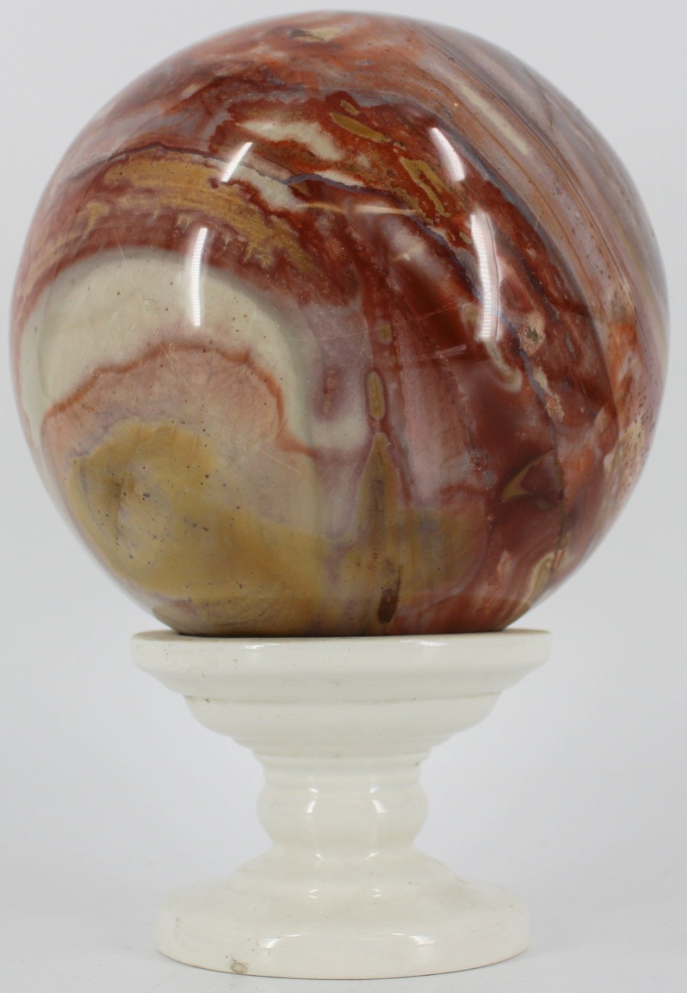 FOSSIL. POLISHED PETRIFIED WOOD
