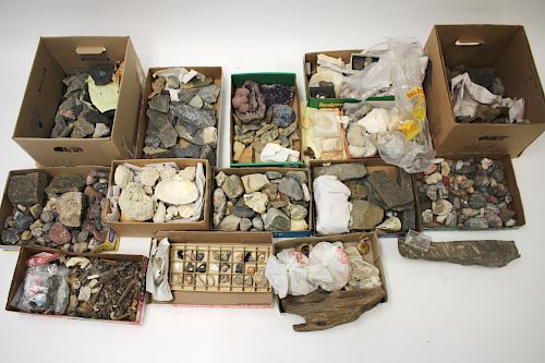 FOSSIL ROCKS, SHARKS TEETH,