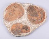 FOSSIL STONE SLAB WITH THREE T