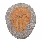 FOSSIL TRILOBITE SPECIMEN: PAR