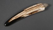 FOSSIL WALRUS IVORY TUSKFossil