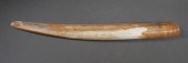 FOSSIL WALRUS IVORY TUSKFossil