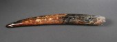 FOSSIL WALRUS IVORY TUSKFossil