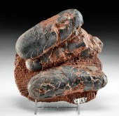 FOSSILIZED DINOSAUR OVIRAPTOR