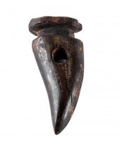 FOSSILIZED DINOSAUR TOOTHFOSSI