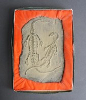 FOSSILIZED KEICHOSAURUS PAIR I