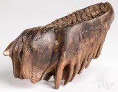 FOSSILIZED MAMMOTH TOOTHFossil