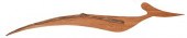 FOSSILIZED PTERANODON WINGcirc