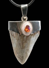 FOSSILIZED SHARK TOOTH PENDANT