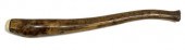 FOSSILIZED WALRUS BACULUM, A P