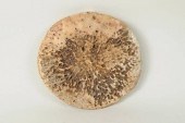 FOSSILIZED WHALEBONE VERTEBRA