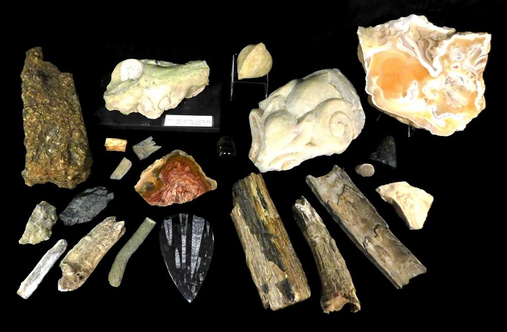 FOSSILS AND OTHER GEOLOGICAL