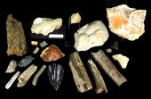 FOSSILS AND OTHER GEOLOGICAL F