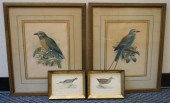 FOUR 19TH-20TH CENTURY COLOR O