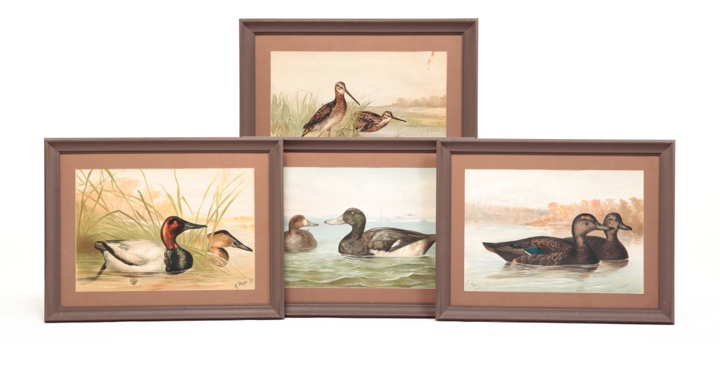 FOUR ALEXANDER POPE DUCK PRINTS.
