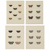 FOUR ANTIQUE ENGRAVINGS FROM C