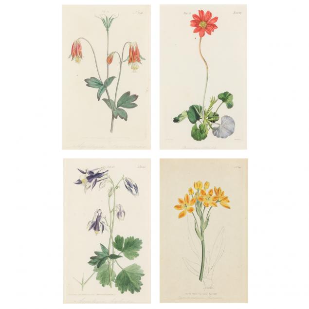 FOUR ANTIQUE FLORAL BOTANICAL
