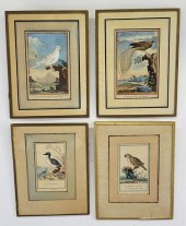 FOUR ANTIQUE FRENCH HAND COLOR