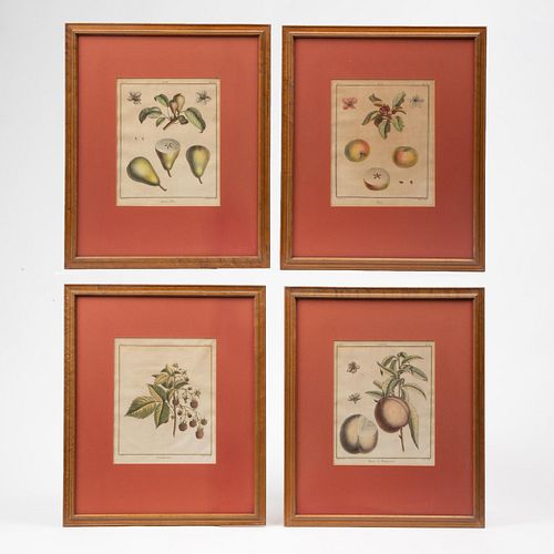 FOUR ANTIQUE HAND-COLORED FRUIT