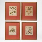 FOUR ANTIQUE HAND-COLORED FRUI