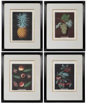 FOUR AQUATINTS OF FRUITS AFTER