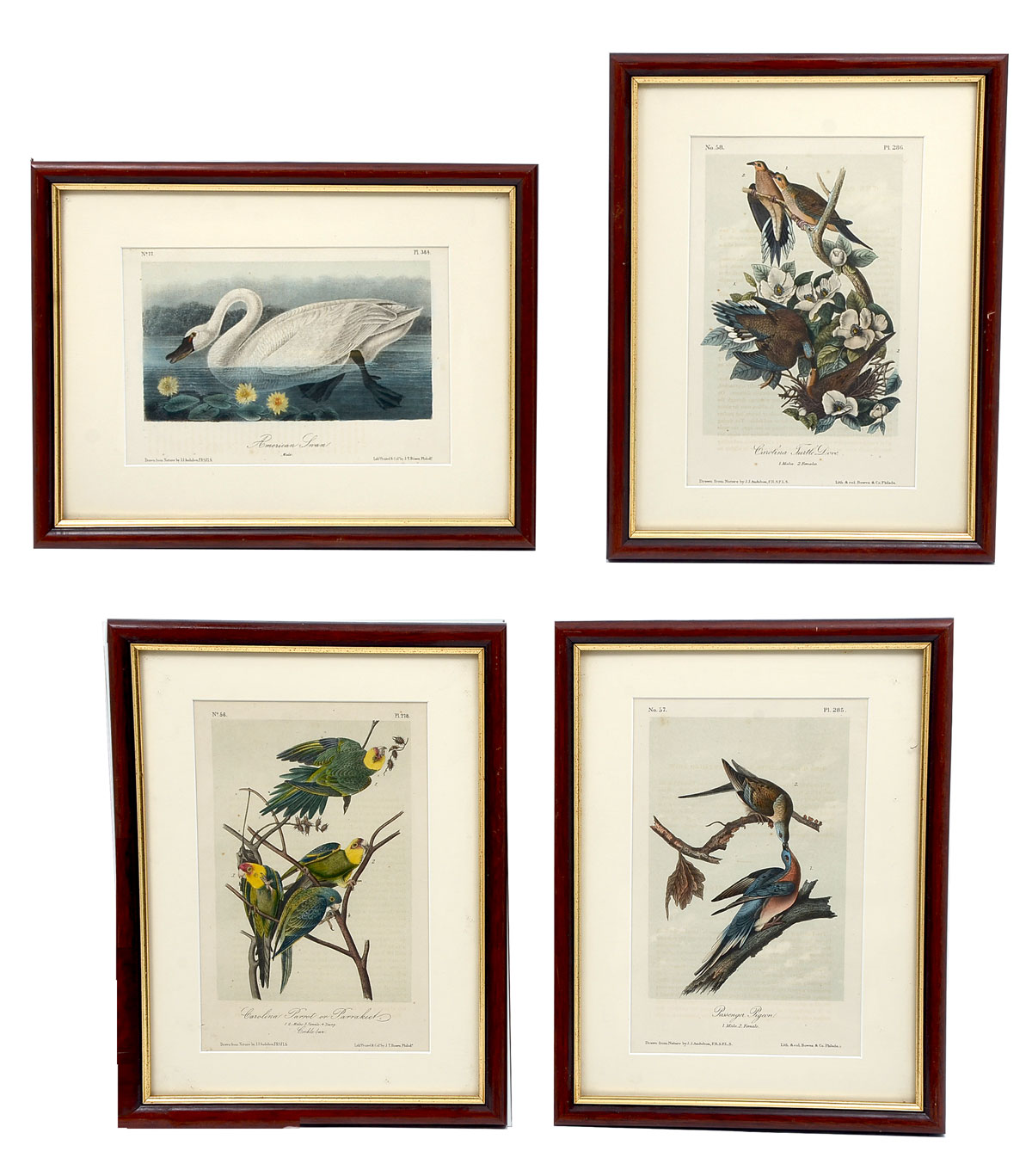FOUR AUDUBON OCTAVO LITHOGRAPHS: