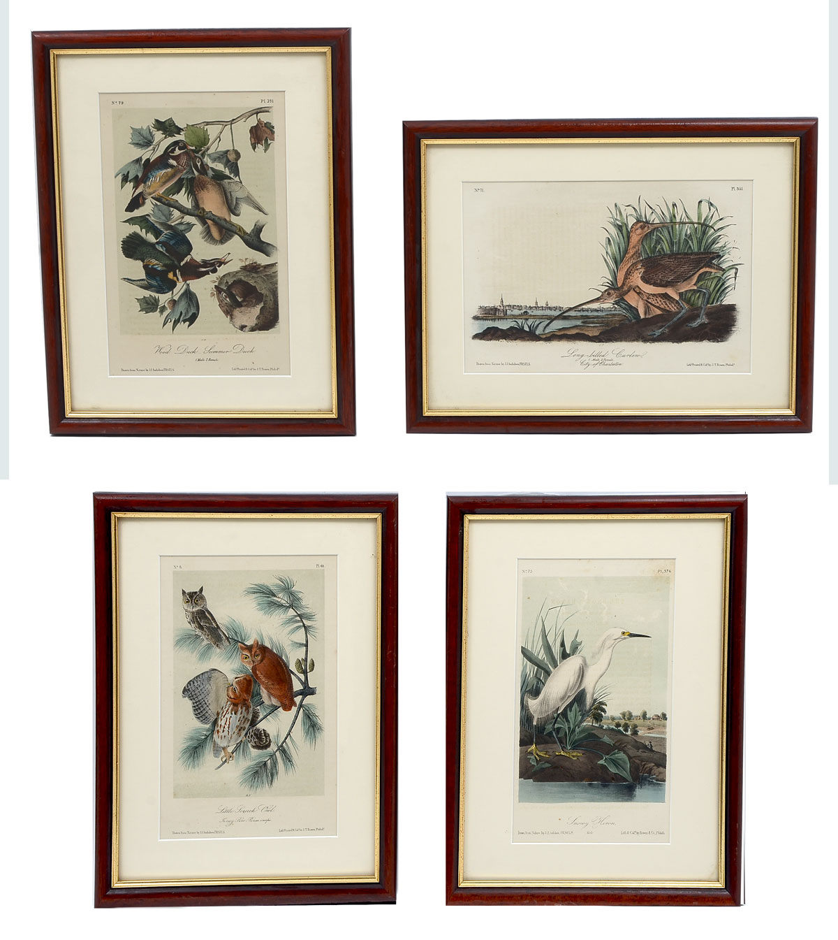 FOUR AUDUBON OCTAVO LITHOGRAPHS: