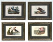 FOUR AUDUBON OCTAVO LITHOGRAPH