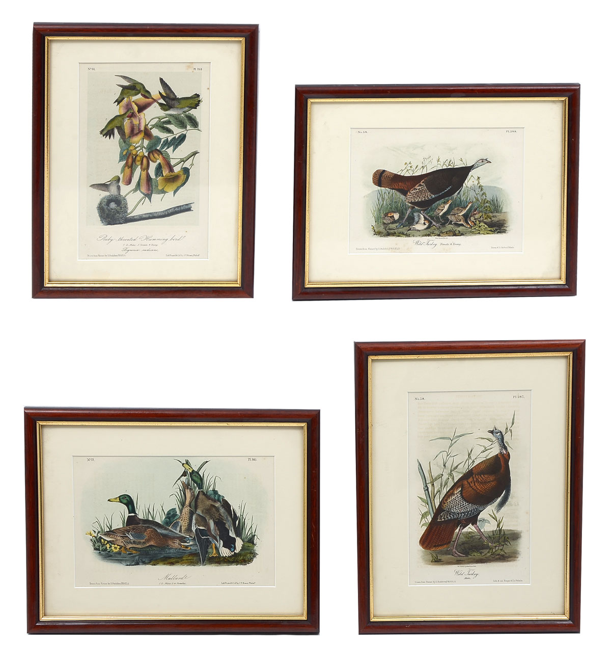 FOUR AUDUBON OCTAVO LITHOGRAPHS: