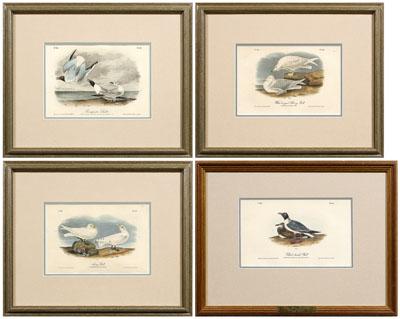 Four Audubon Royal Octavo prints: