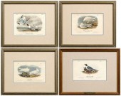 Four Audubon Royal Octavo prin
