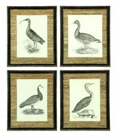 FOUR BIRD PRINTS BY JOHN PRIDE