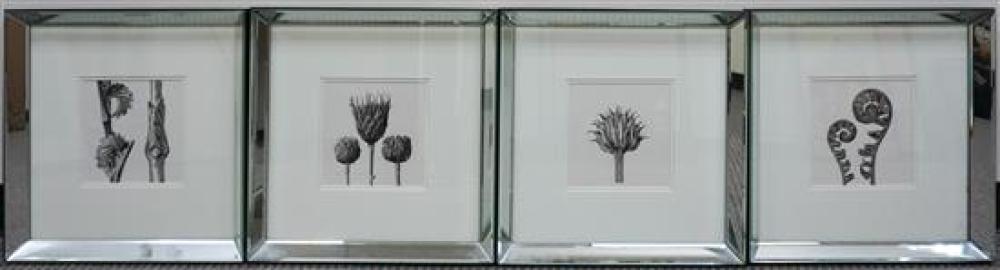 FOUR BLACK AND WHITE PRINTS OF