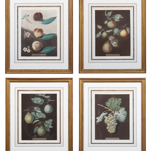 Four Botanical Aquatints by
