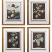 Four Botanical Aquatints by Ge