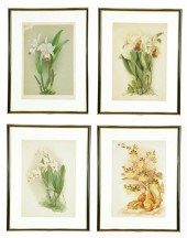 FOUR BOTANICAL CHROMOLITHOGRAP