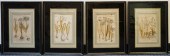 FOUR BOTANICAL COLORED ENGRAVI