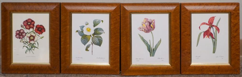 FOUR BOTANICAL OFFSET COLOR PRINTS,