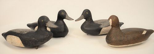 FOUR COLLINS FAMILY BROAD BILL
