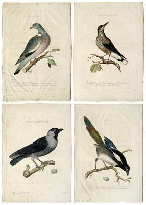 Four Cornelius Nozeman engravings