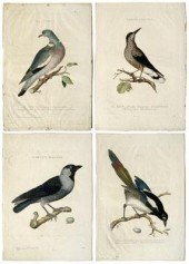 Four Cornelius Nozeman engravi