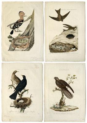 Four Cornelius Nozeman engravings