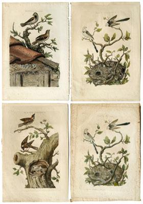 Four Cornelius Nozeman engravings